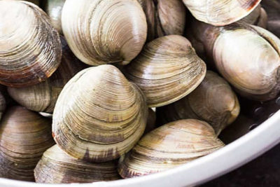 middle neck clams        <h3 class=