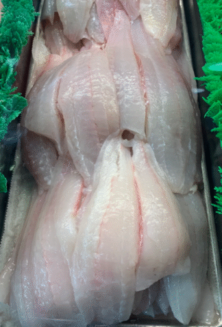 Fish Fillets